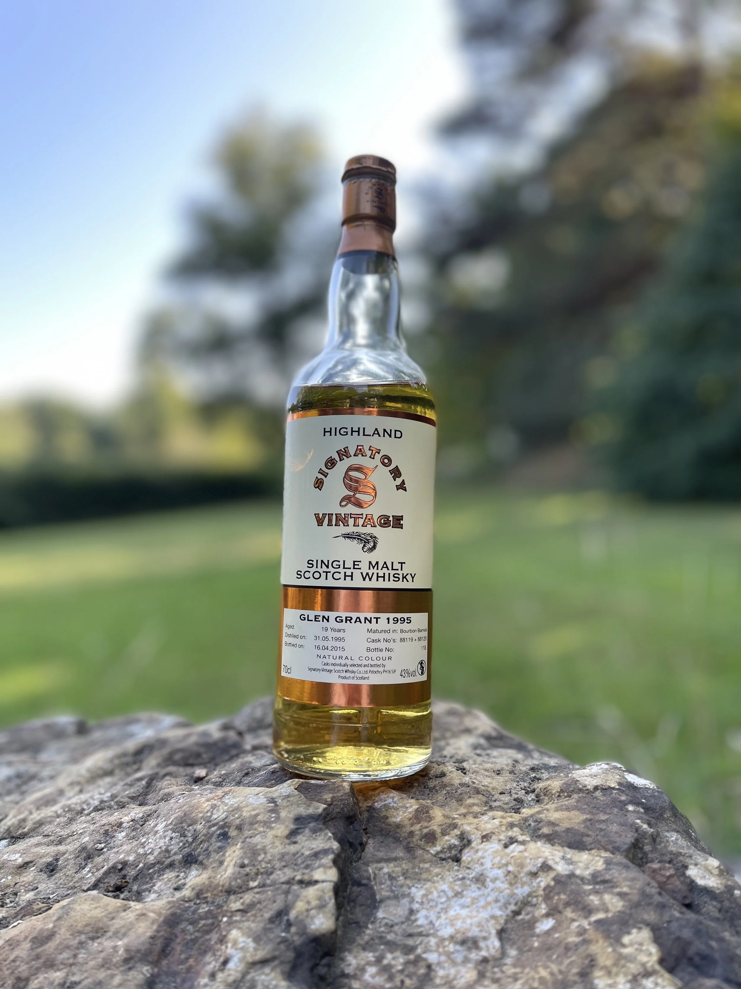 Glen Grant 1995 Vintage 19 Year Old Single Malt Whisky — The Malt